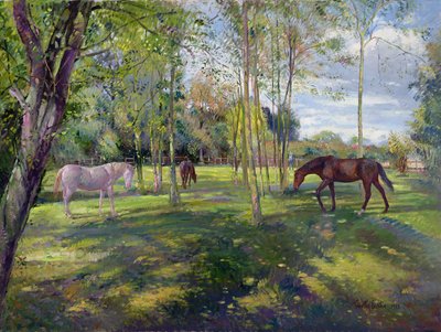 In the Rectory Paddock, 1993 by Timothy Easton